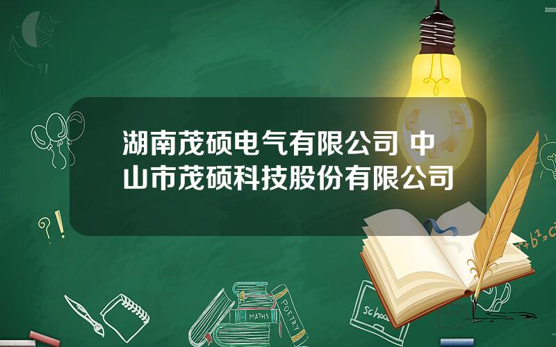 湖南茂硕电气有限公司 中山市茂硕科技股份有限公司